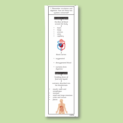 Y6 Science (Animals, Including Humans - Water Transport) Knowledge Notes SKN