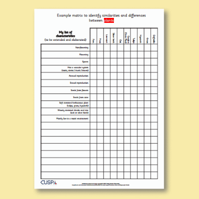 Y6 Science (Living Things and their Habitats) AR3 Plants with examples - Matrix of Similarities and Differences