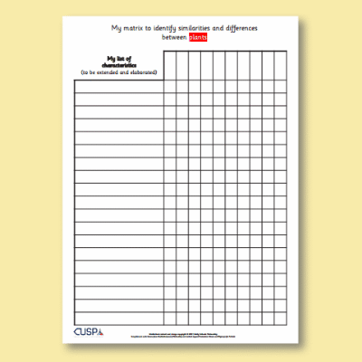 Y6 Science (Living Things and their Habitats) AR4 Plants blank - Matrix of Similarities and Differences