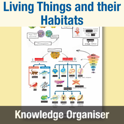 Image of Year 6 Science (Living Things and their Habitats) Knowledge Organiser KO CUSP Resource