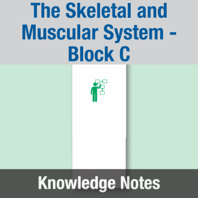 Image of Year 07 Science (The Skeletal and Muscular System - Block C) Knowledge Notes CUSP ResourceAccess Spring 58.5x234mm Printed in Black;    2 Leaf Set in pads of 16