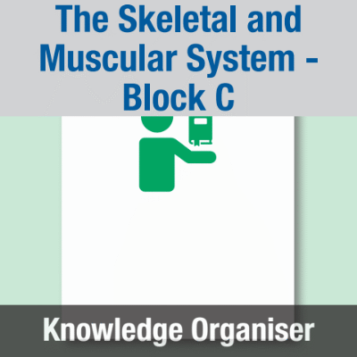 Image of Year 07 Science (The Skeletal and Muscular System - Block C) Knowledge Organiser CUSP ResourceAccess Spring 195x277mm Printed in Black;    1 Leaf Set in pads of 16