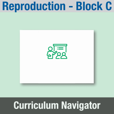 Image of Year 09 Science (Reproduction - Block C) Curriculum Navigator CUSP ResourceAccess Summer 140x195mm Printed in Black;    1 Leaf Set in pads of 16