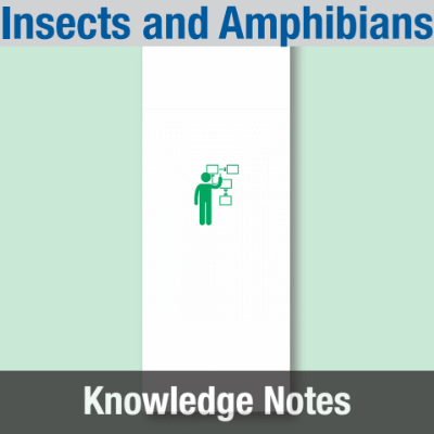 Image of Reception Class Science (Insects and Amphibians) Knowledge Notes CUSP ResourceAccess Summer 277x102mm Printed in Black;    6 Leaf Set in pads of 16