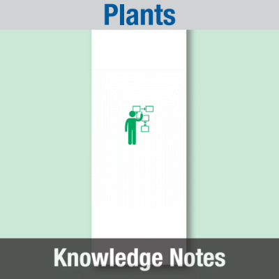 Image of Reception Class Science (Plants) Knowledge Notes CUSP ResourceAccess Summer 277x102mm Printed in Black;    5 Leaf Set in pads of 16