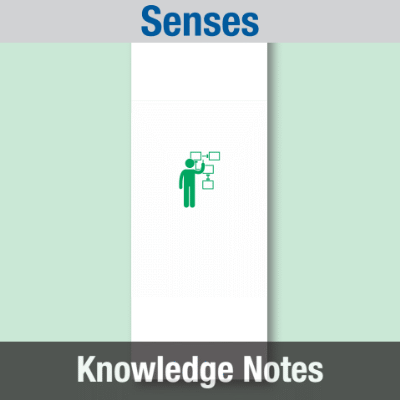 Image of Reception Class Science (Senses) Knowledge Notes CUSP ResourceAccess Autumn 277x102mm Printed in Black;    4 Leaf Set in pads of 16